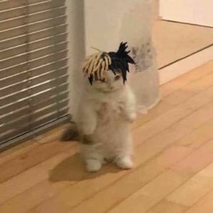 Meet your Posher, Say